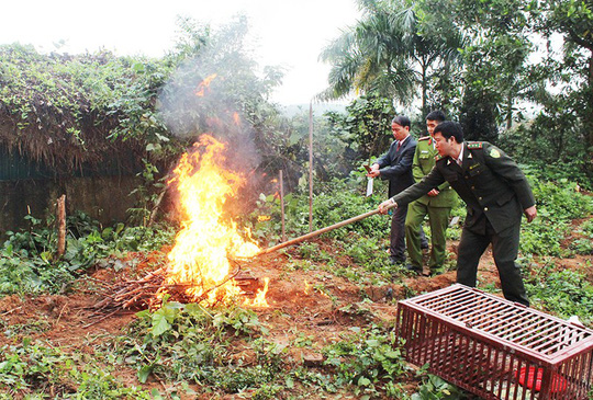 Xôn[-]xao[-]việc[-]tiêu[-]hủy[-]4[-]con[-]chim[-]cú[-]và[-]diều[-]hoa